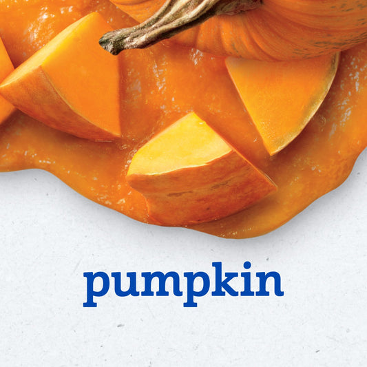 Gerber Stage 2 Baby Food - Pumpkin, 4 oz Tubs