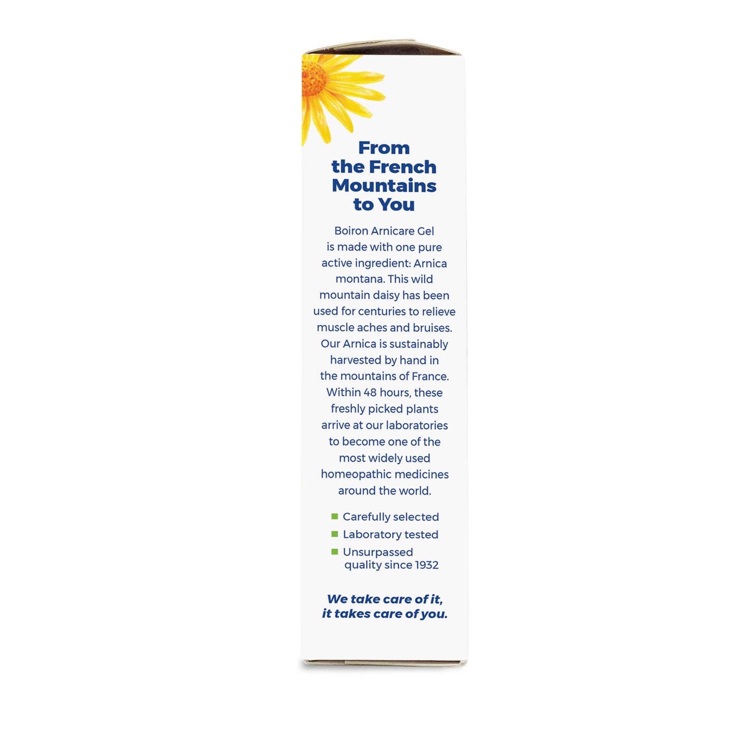 Arnicare Bruise Homeopathc Gel