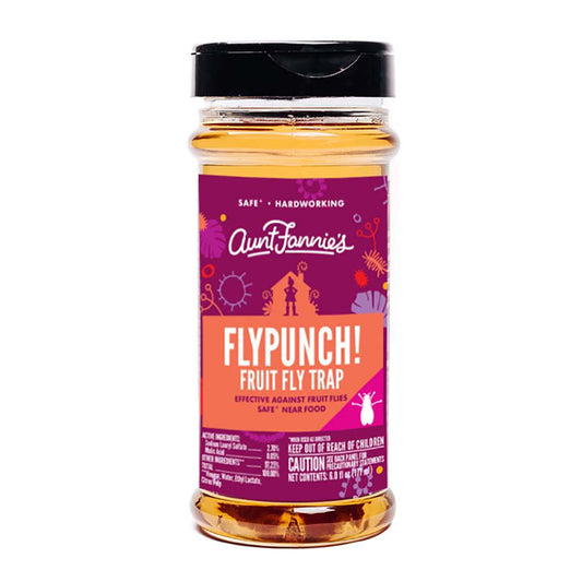 Aunt Fannie's FlyPunch! Fruit Fly Trap