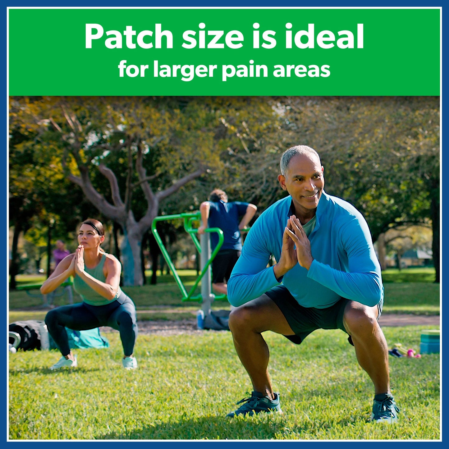 Salonpas Pain Relieving Patch, Large