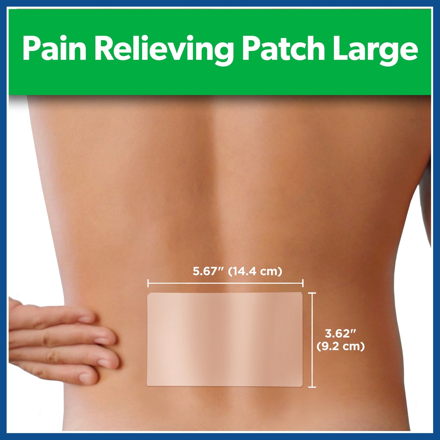 Salonpas Pain Relieving Patch, Large
