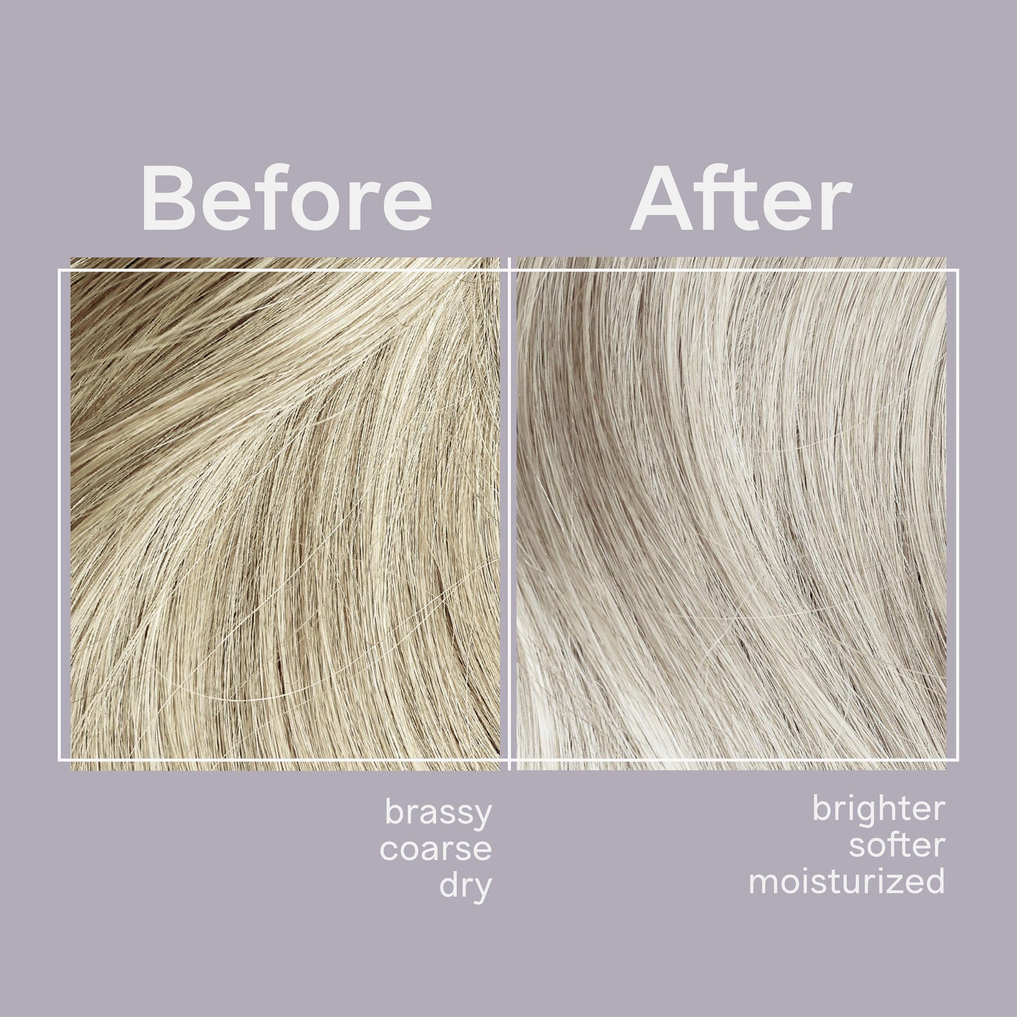 Jhirmack Silver Brightening Purple Toning Shampoo