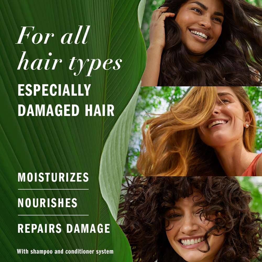 Herbal Essences Argan Oil Repair Shampoo