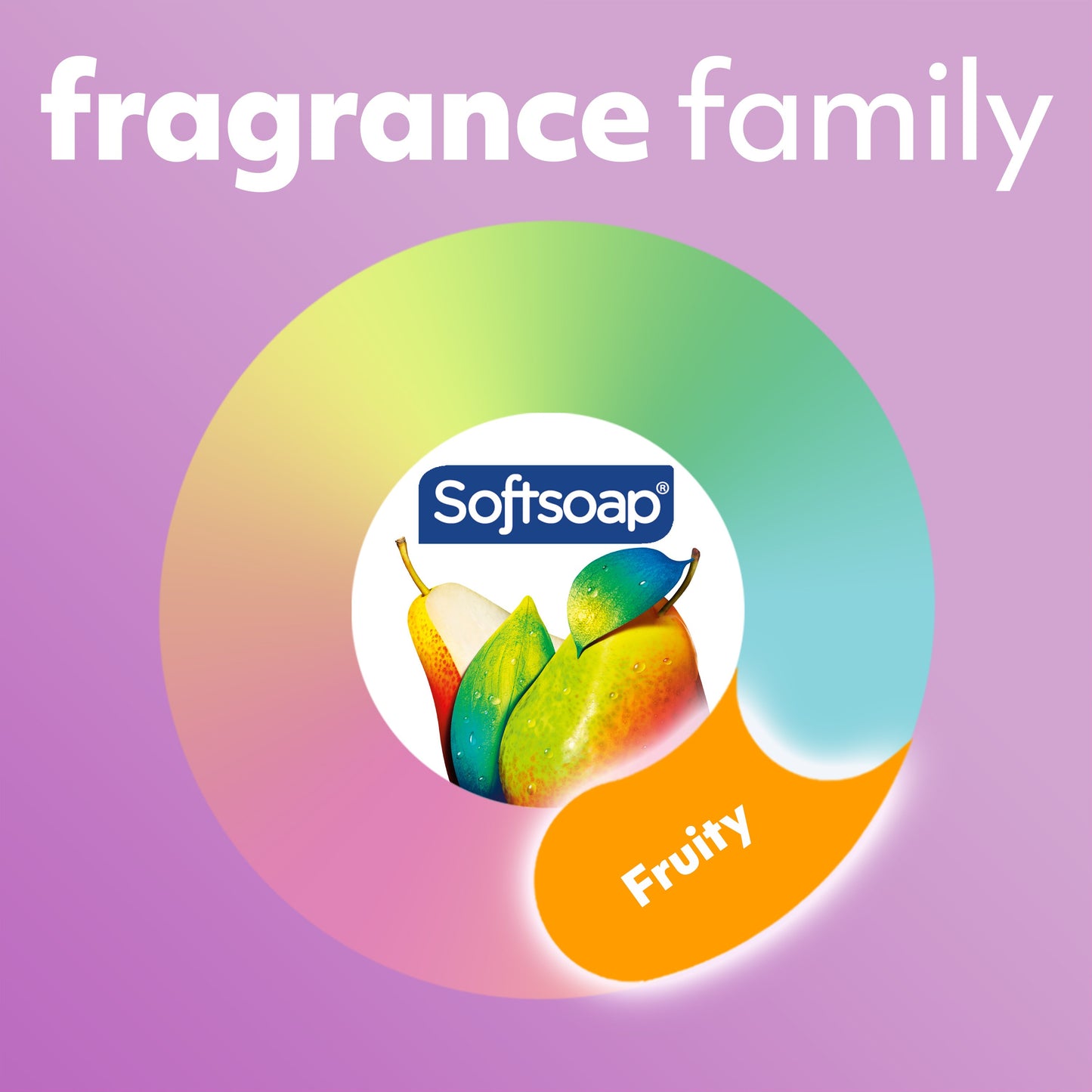 Softsoap Antibacterial Liquid Hand Soap - White Tea & Berry