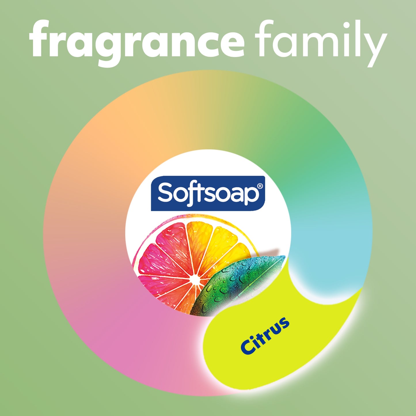 Softsoap Antibacterial Liquid Hand Soap - Fresh Citrus