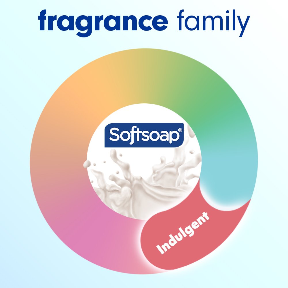 Softsoap Moisturizing Hand Soap Refill - Milk & Golden Honey
