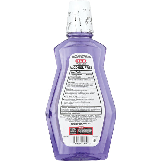 H-E-B Alcohol Free Mouth Rinse - Violet Mint