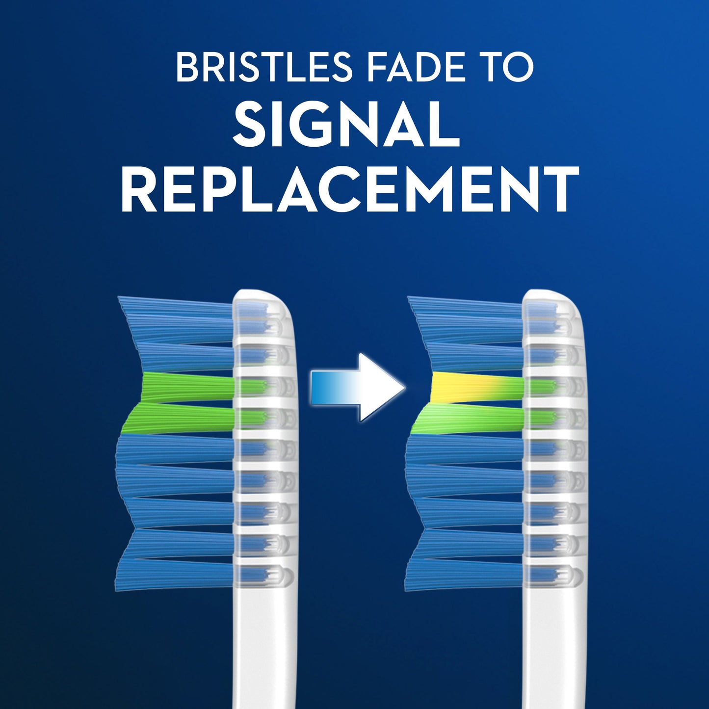 Oral-B Indicator Max Medium Toothbrushes