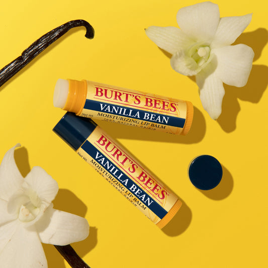 Burt's Bees Moisturizing Lip Balm Pack - Vanilla Bean