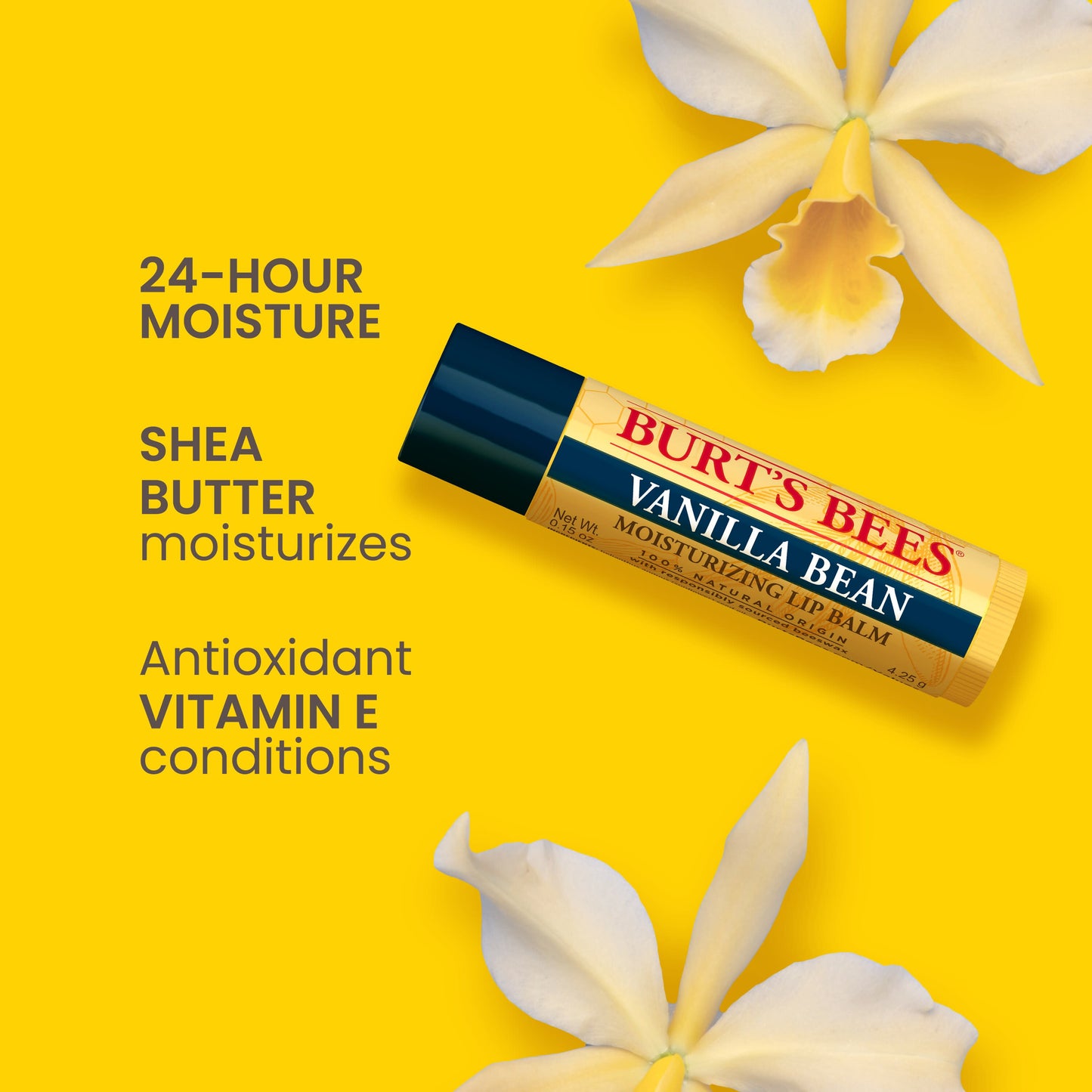 Burt's Bees Moisturizing Lip Balm Pack - Vanilla Bean
