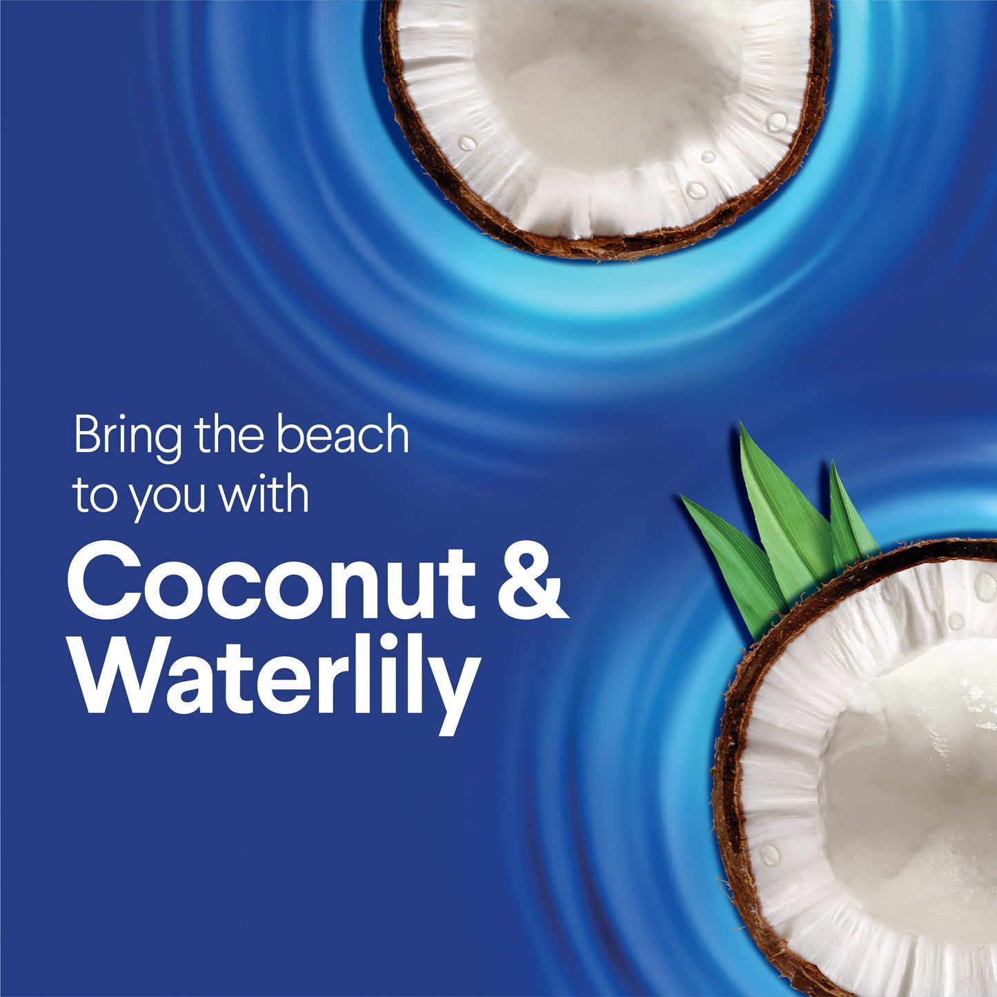 Clorox Scentiva Bleach Free Cleaning Wipes - Coconut & Waterlily