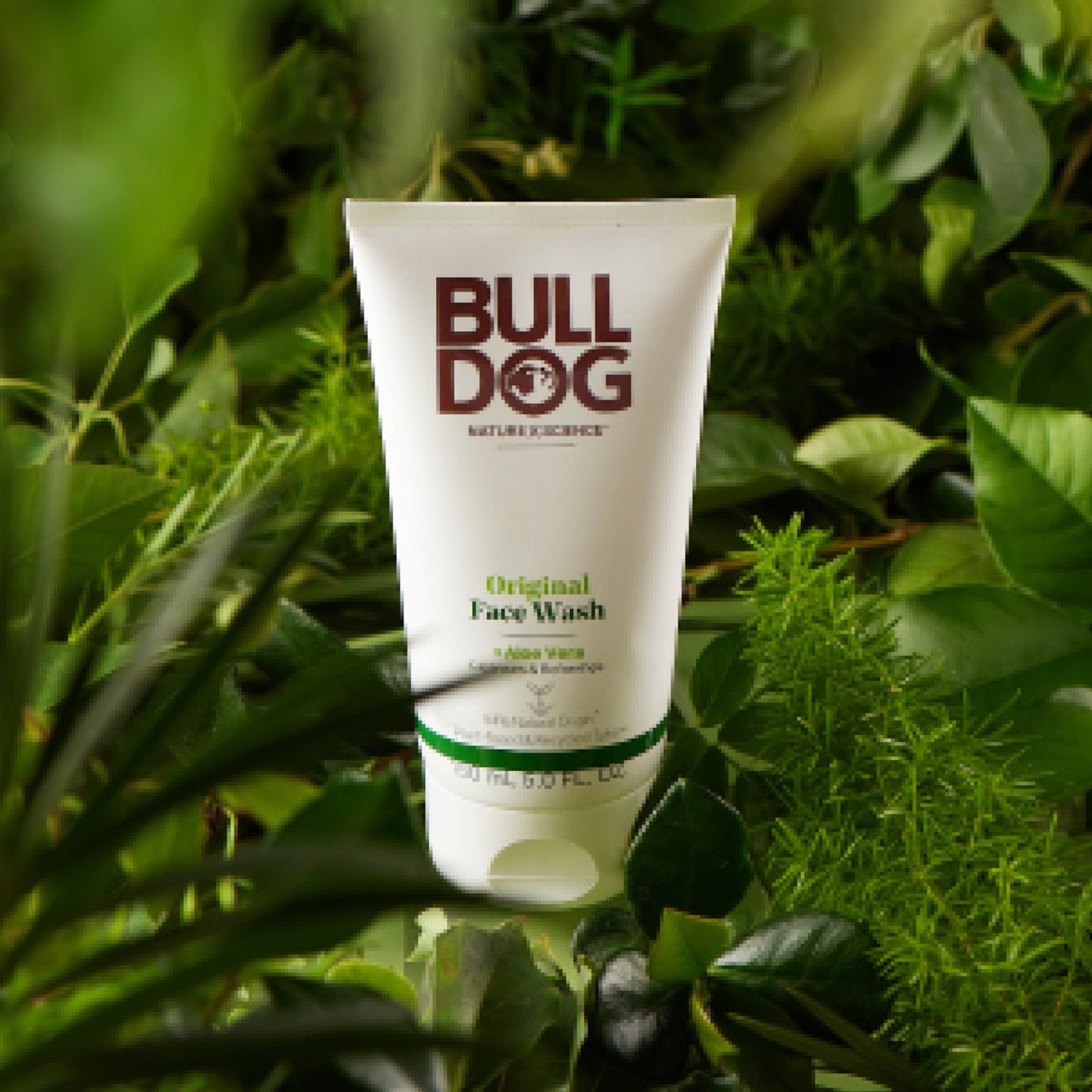 Bulldog Skincare for Men Face Wash - Original