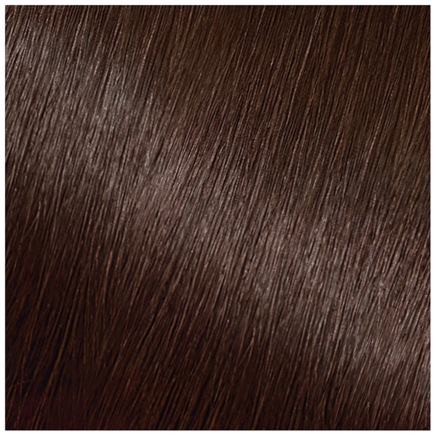 Garnier Nutrisse Ultra Coverage Nourishing Permanent Hair Color Creme for Stubborn Gray Coverage Deep Dark Brown (Sweet Pecan) 400
