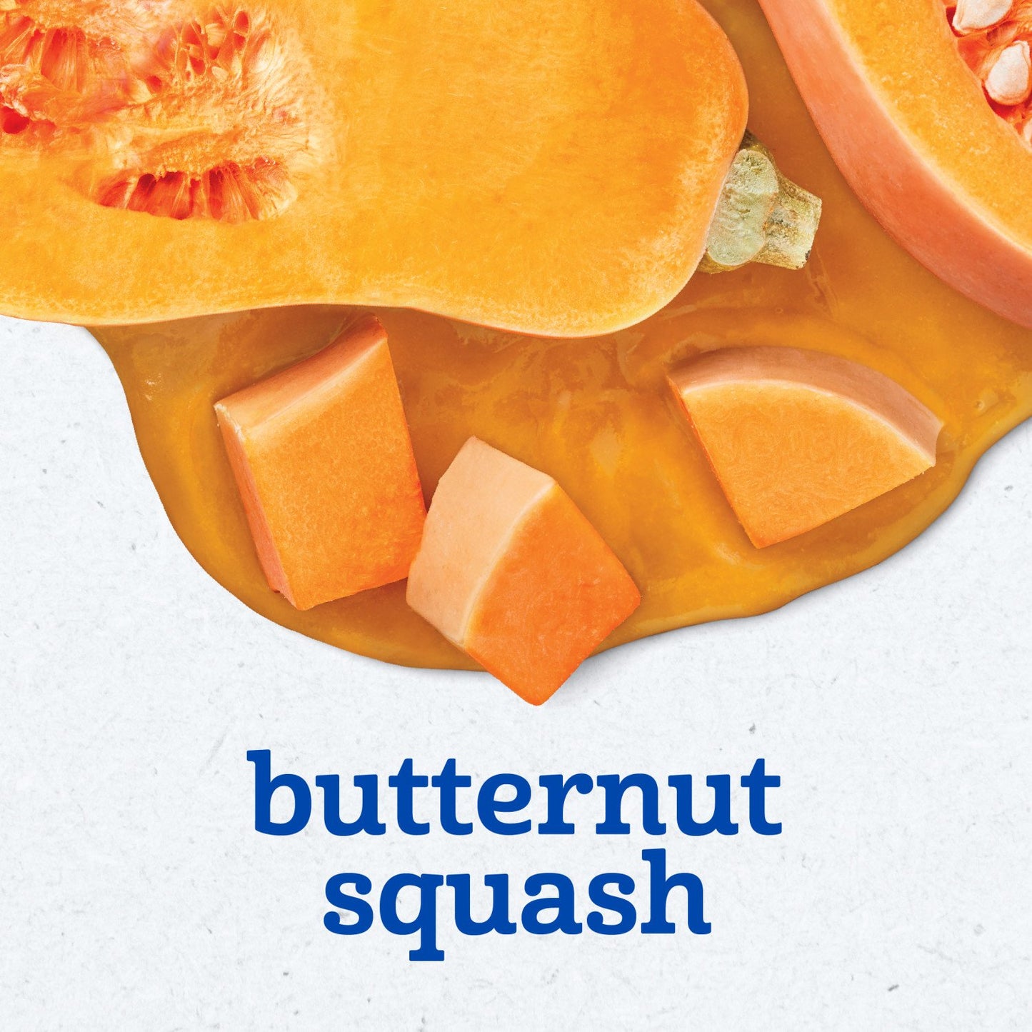 Gerber Stage 1 Baby Food - Butternut Squash, 2 oz Tubs