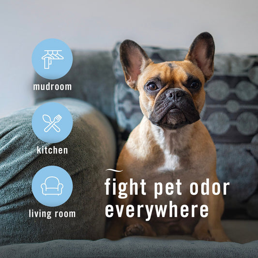 Febreze Air Fresh Scent Pet Odor-Fighting Spray