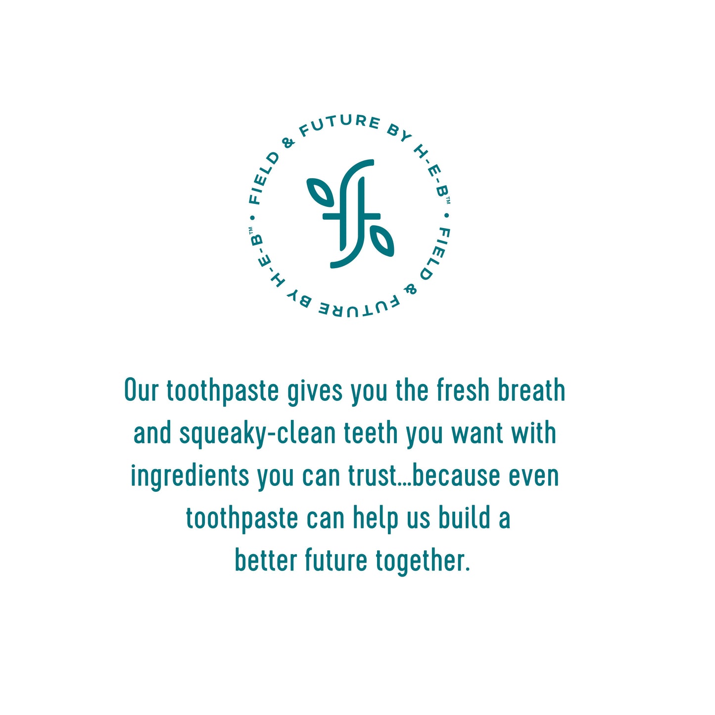 Field & Future by H-E-B Anti-Plaque & Whitening Fluoride-Free Toothpaste - Peppermint