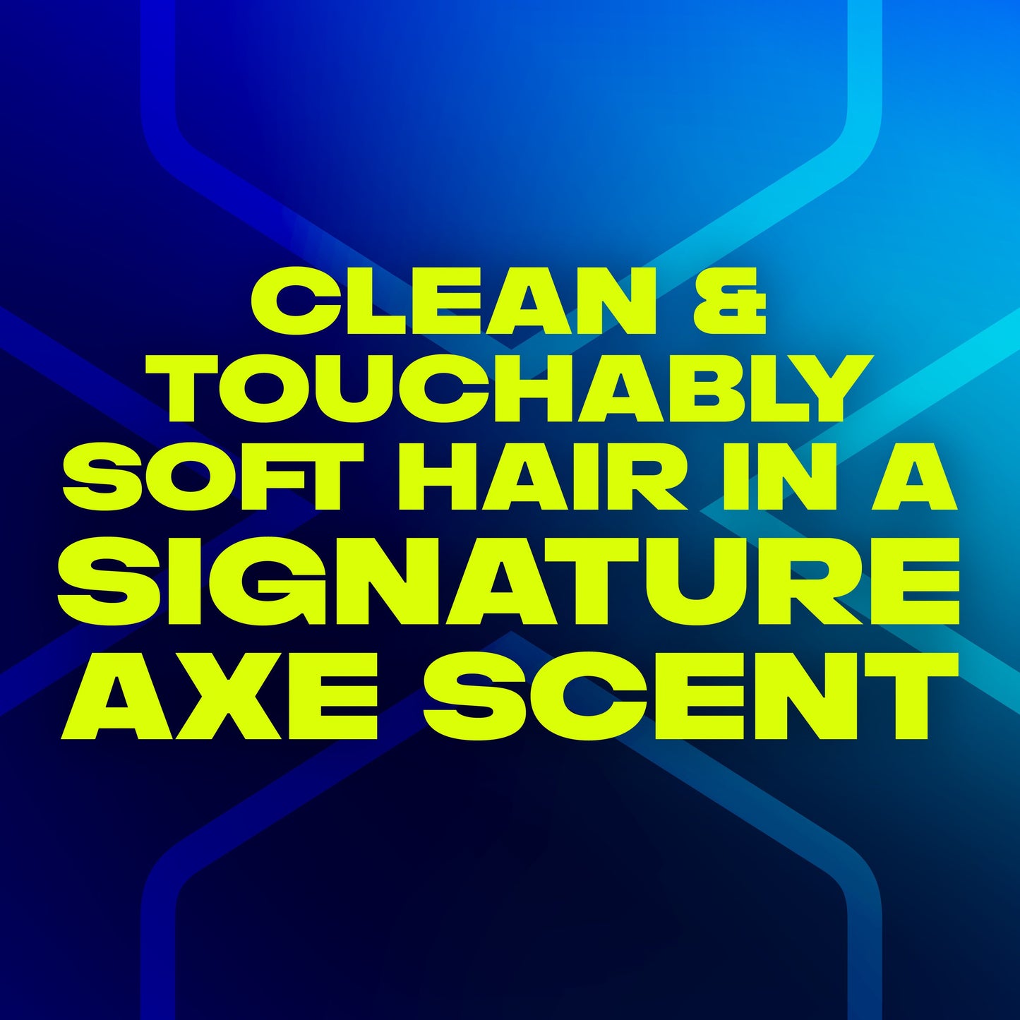 AXE 2 in 1 Shampoo + Conditioner - Phoenix