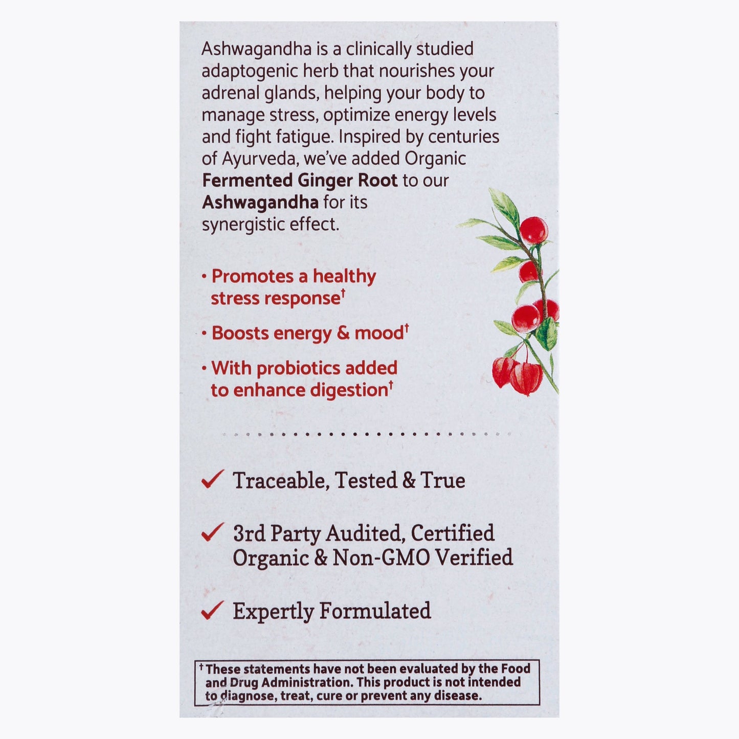 Garden of Life mykind Organics Ashwagandha Tablets