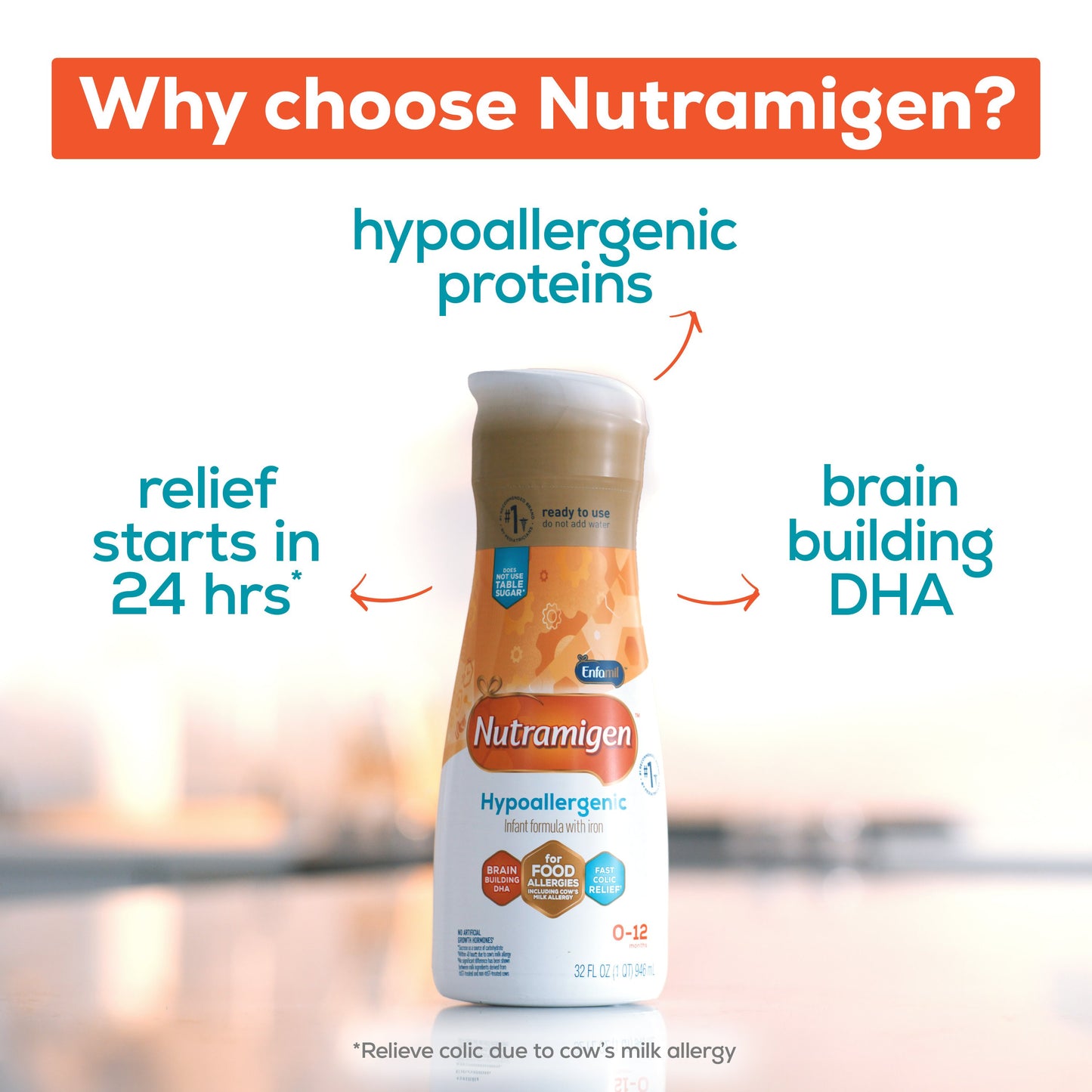 Nutramigen Hypoallergenic Ready-to-Feed Baby Formula with Iron