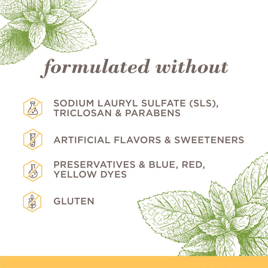 Burt's Bees Purely White Fluoride-Free Toothpaste - Zen Peppermint