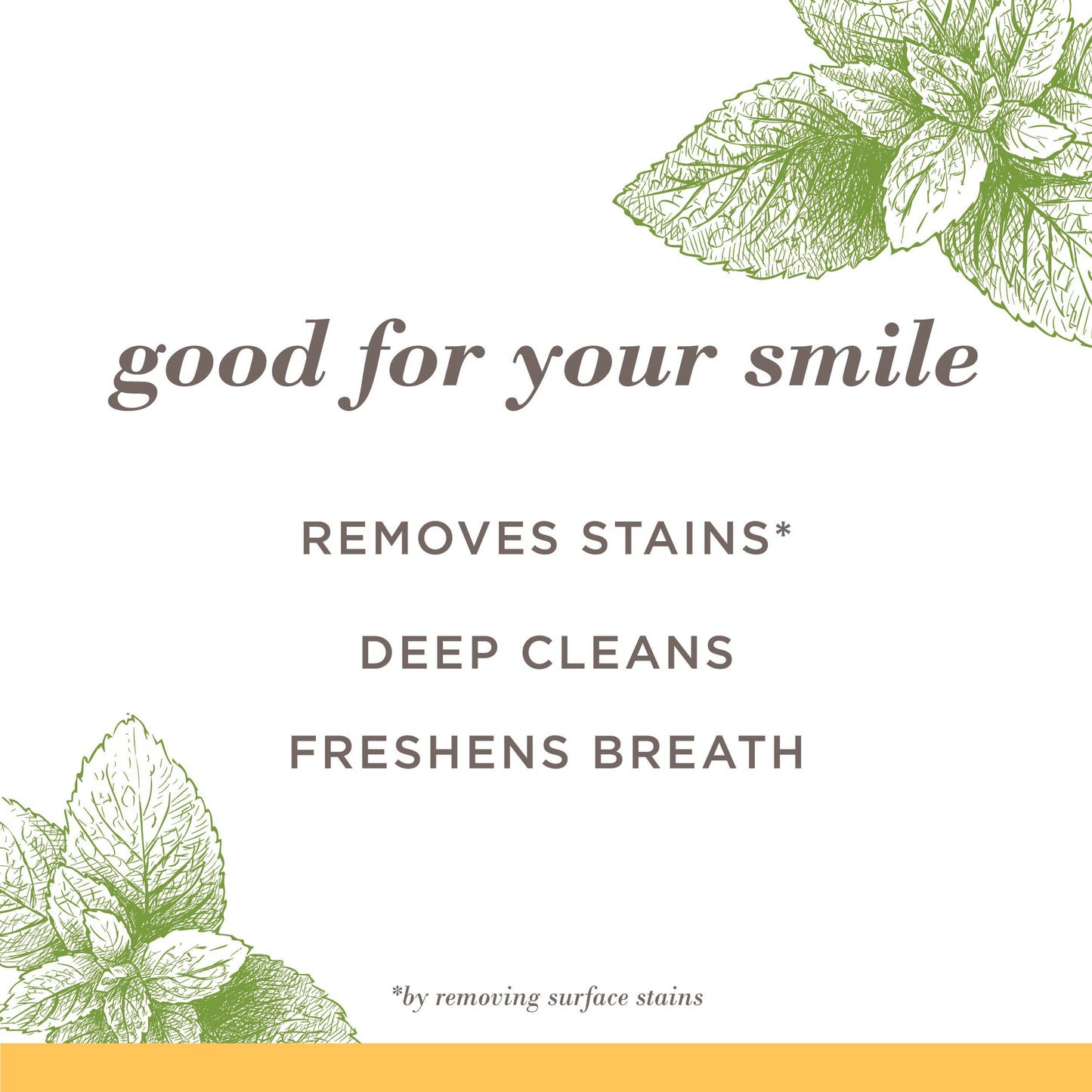 Burt's Bees Purely White Fluoride-Free Toothpaste - Zen Peppermint