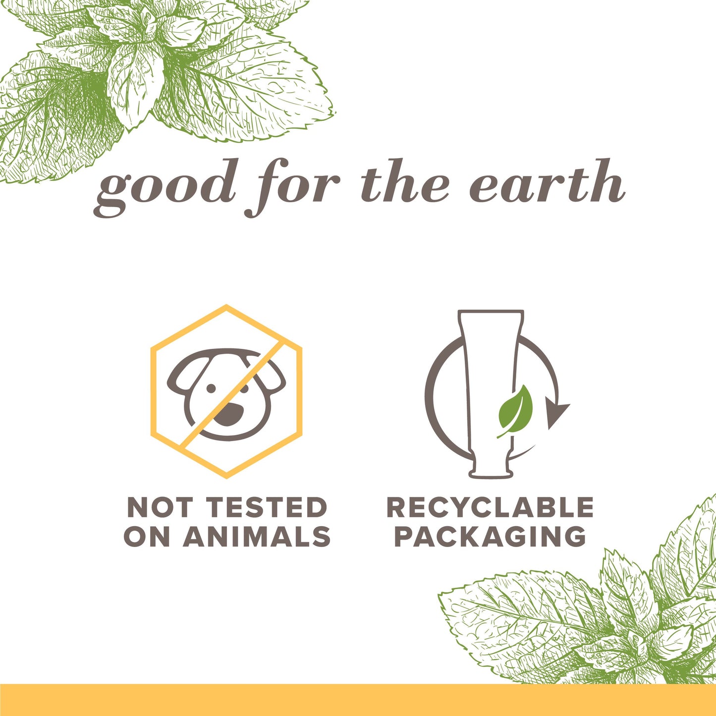 Burt's Bees Purely White Fluoride-Free Toothpaste - Zen Peppermint