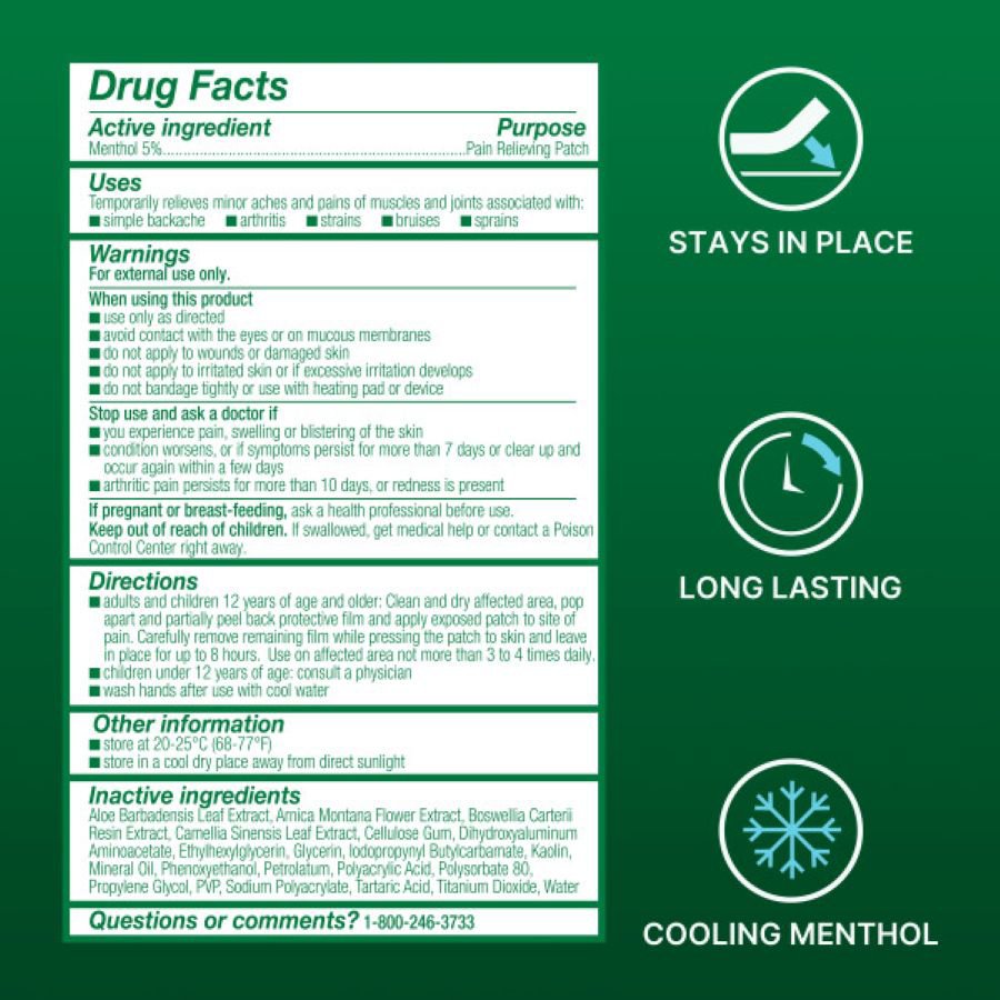Biofreeze Menthol Pain Relief Patch, Large