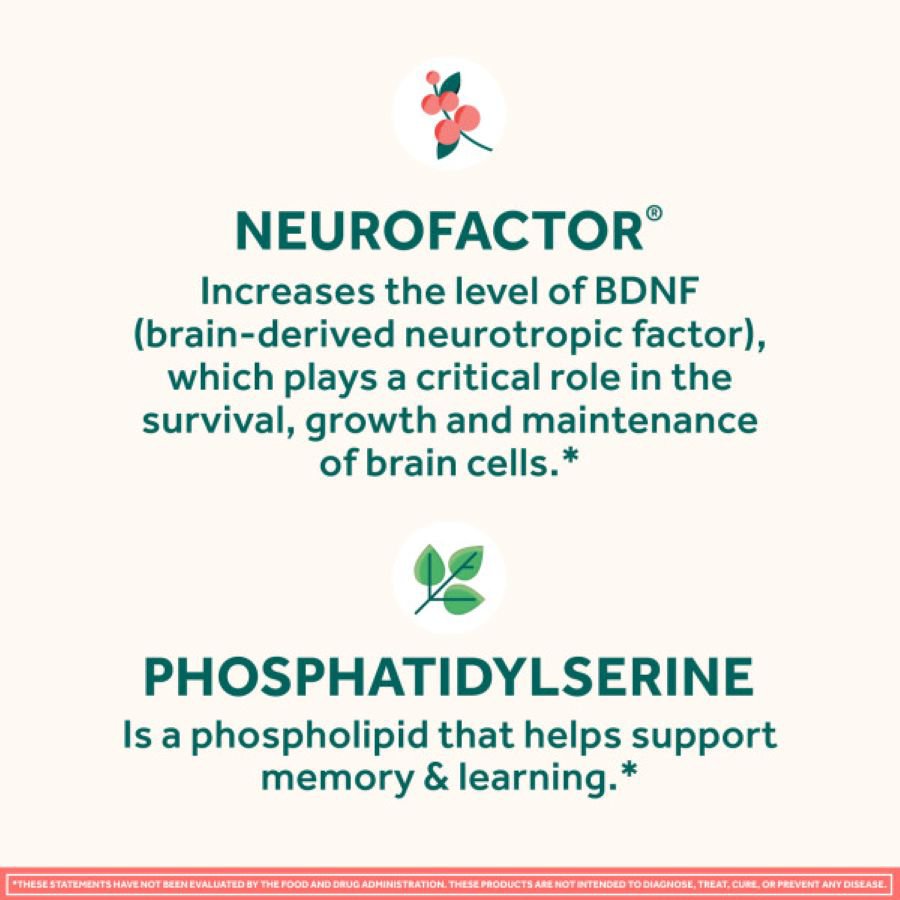 Neuriva Original Brain Performance Supplement