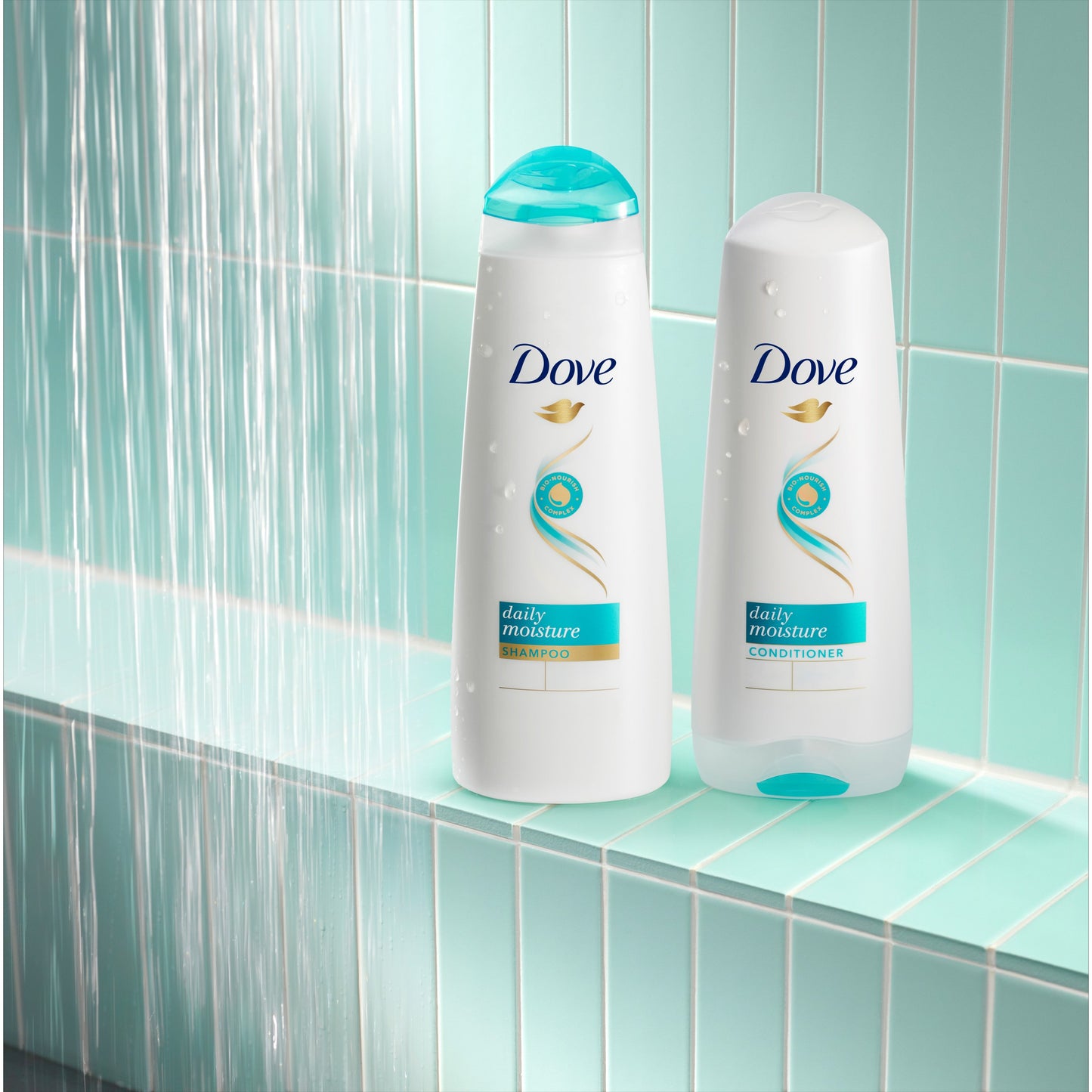Dove Shampoo & Conditioner Daily Moisture, 2 Pk
