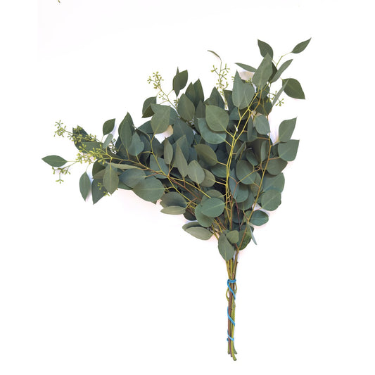 BLOOMS by H-E-B 3 Stem Seeded Eucalyptus