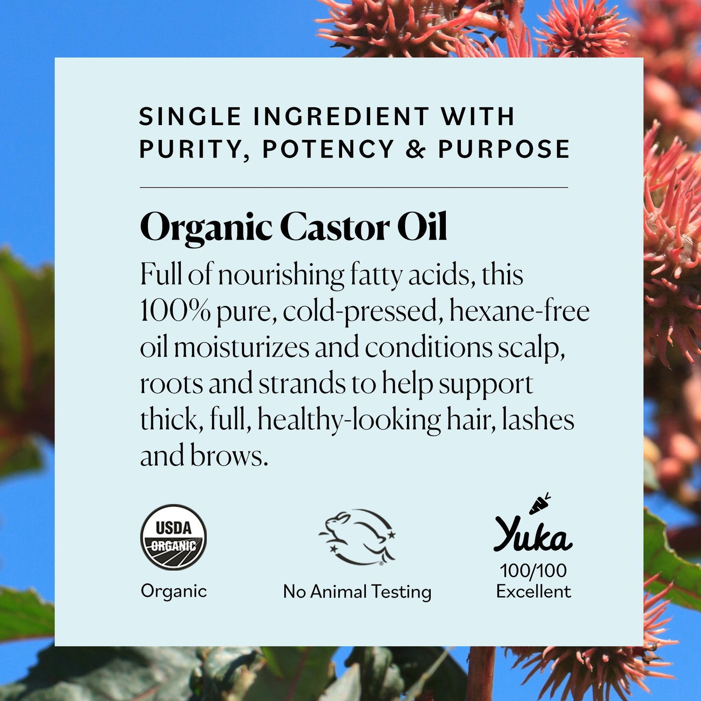 Sky Organics Organic Castor Oil