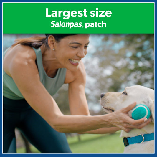 Salonpas Hot Capsicum Patch