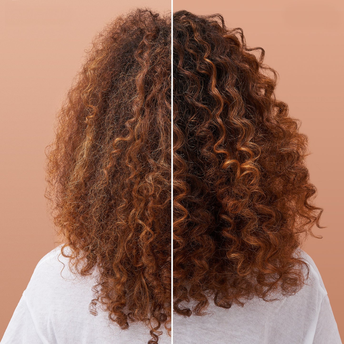 Garnier Whole Blends Smoothing Conditioner, Coconut Oil and Cocoa Butter