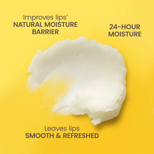 Burt's Bees Moisturizing Lip Balm - Vanilla Bean
