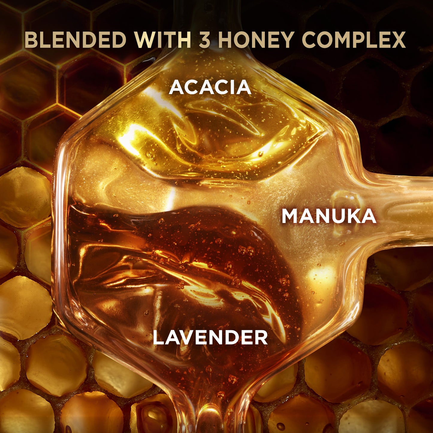 Garnier Whole Blends Honey Treasures Repairing Shampoo & Conditioner