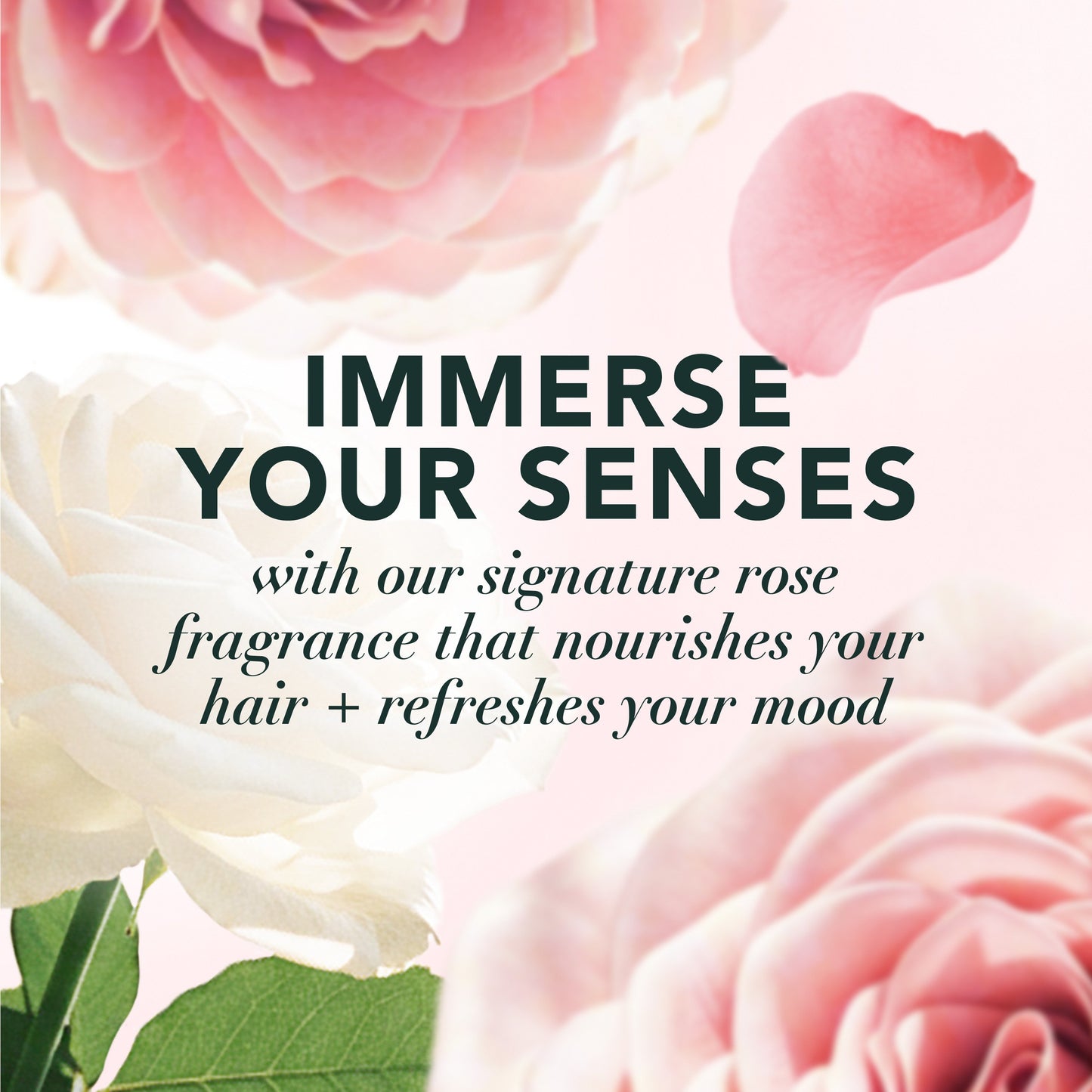 Herbal Essences Rose Hips Smooth Shampoo