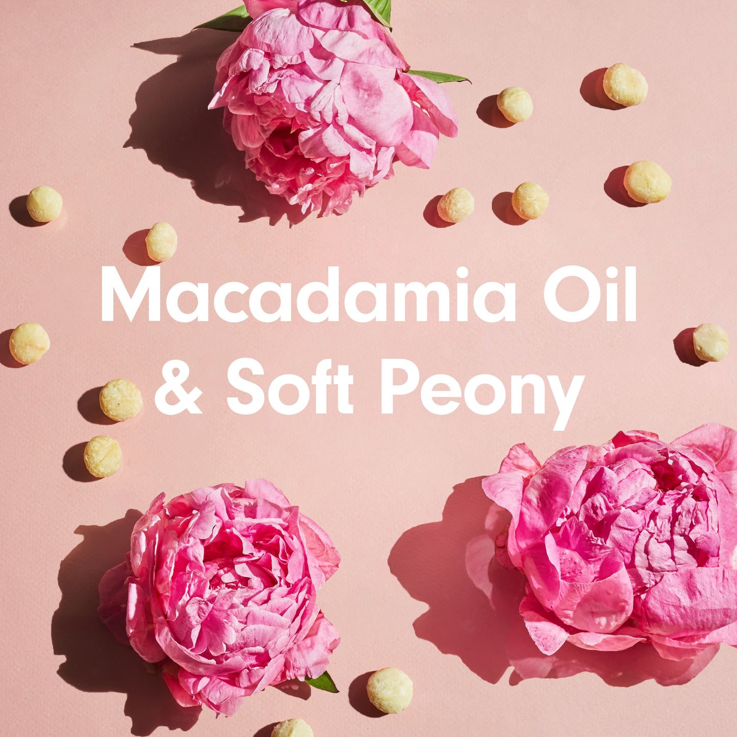 Softsoap Moisturizing Body Wash - Macadamia Oil & Soft Peony