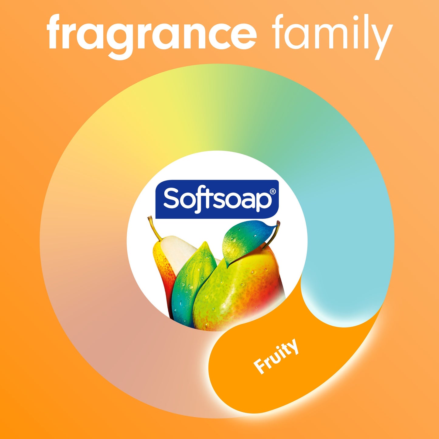 Softsoap Moisturizing Body Wash - Pomegranate & Mango Spritz