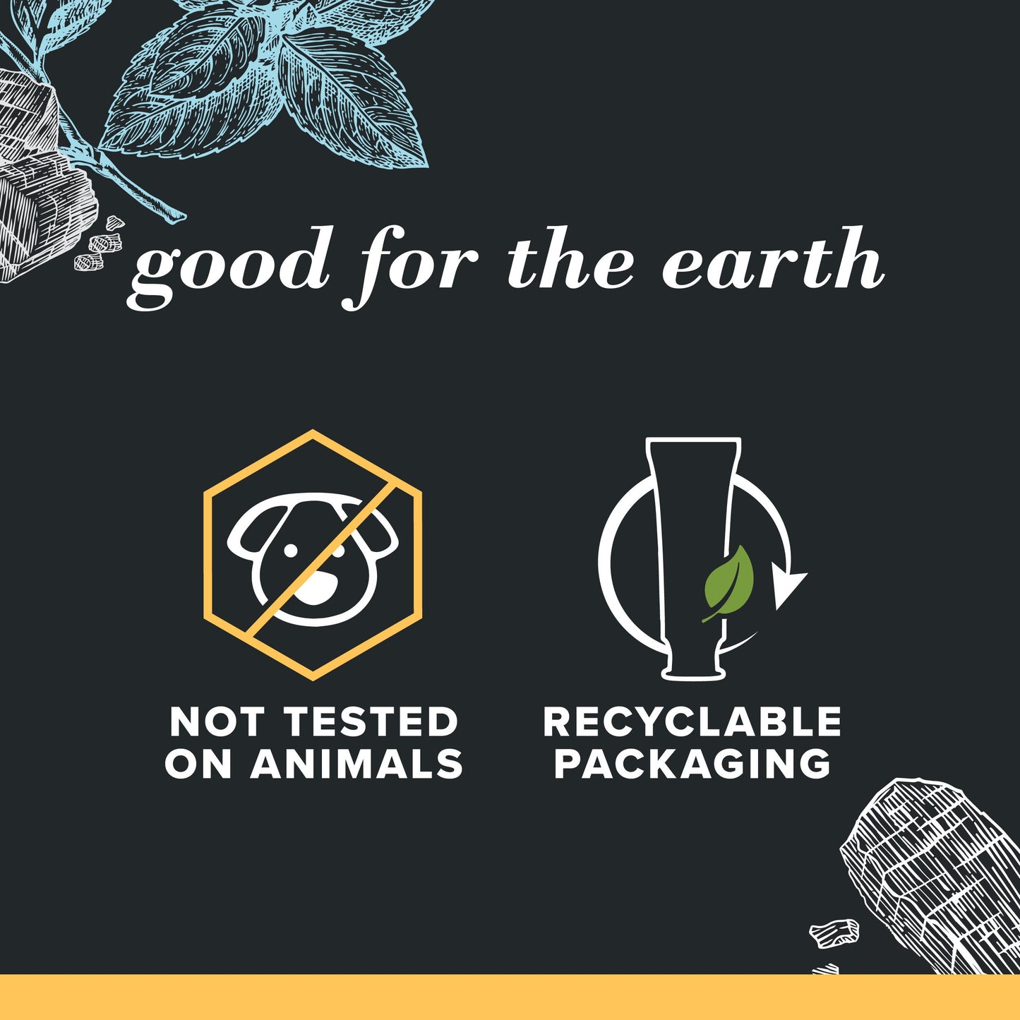 Burt's Bees Charcoal Fluoride Toothpaste - Charcoal Peppermint
