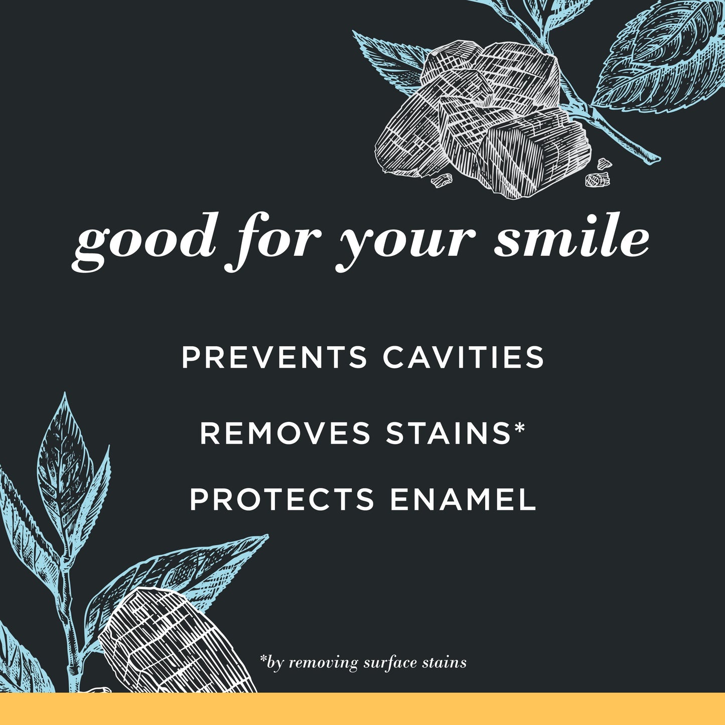 Burt's Bees Charcoal Fluoride Toothpaste - Charcoal Peppermint