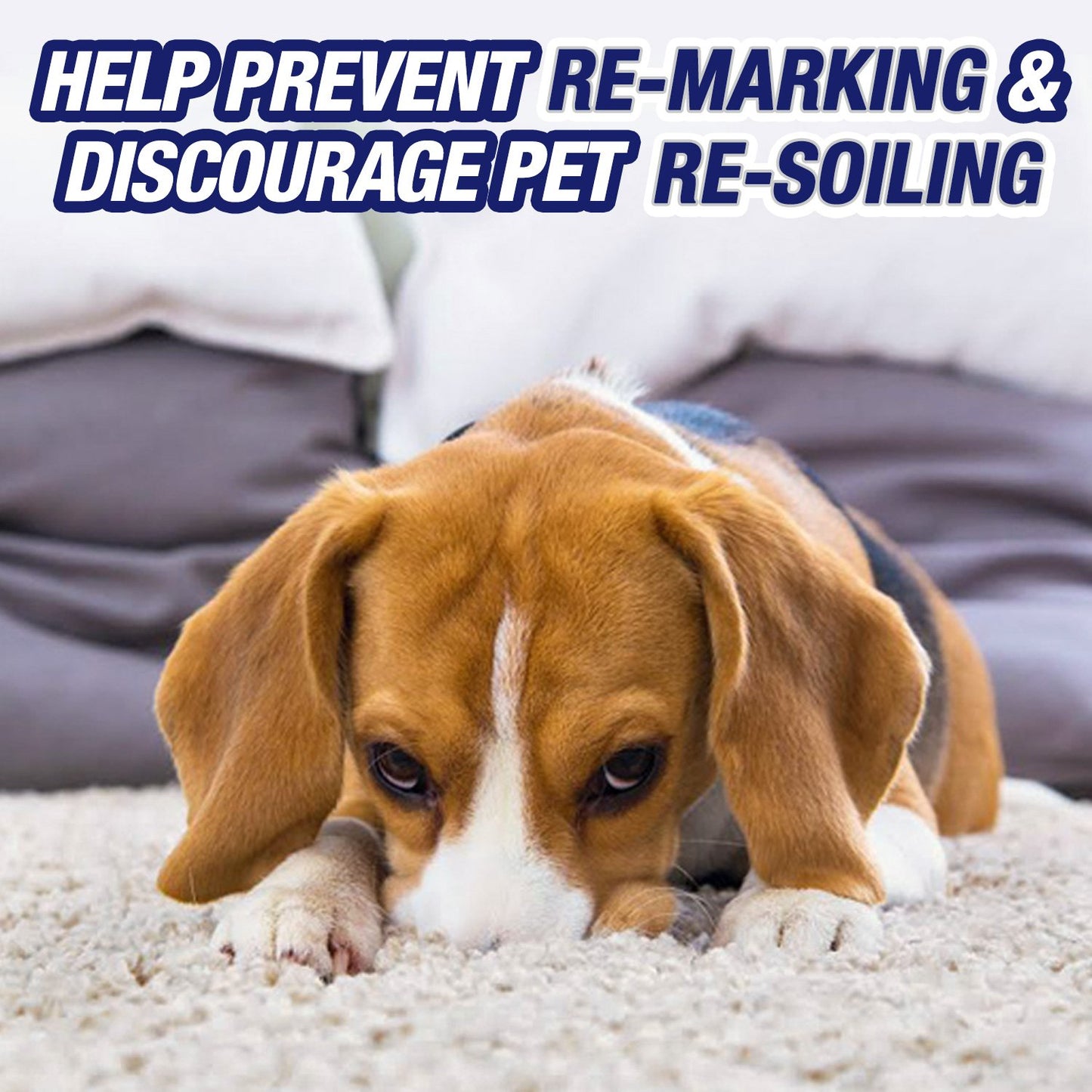 Resolve Urine Destroyer, Spot and Stain Remover, Pet Urine Stain and Odor Remover Carpet Cleaner Spray