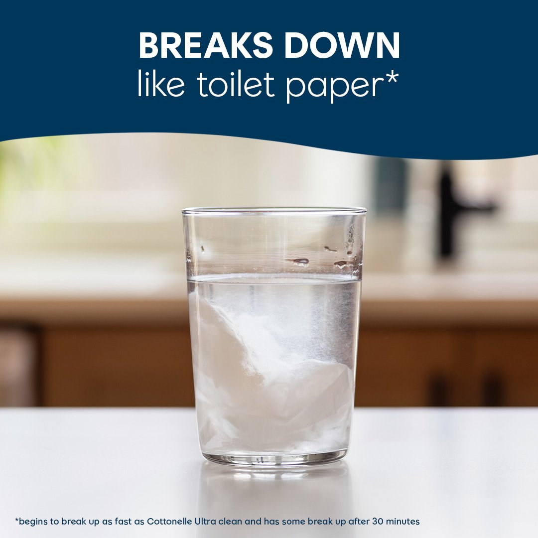 Cottonelle Travel Size Fresh Care On-The-Go Flushable Wipes
