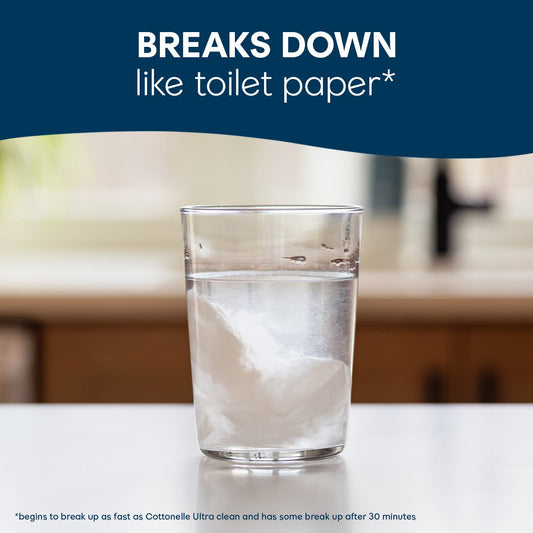 Cottonelle Travel Size Fresh Care On-The-Go Flushable Wipes