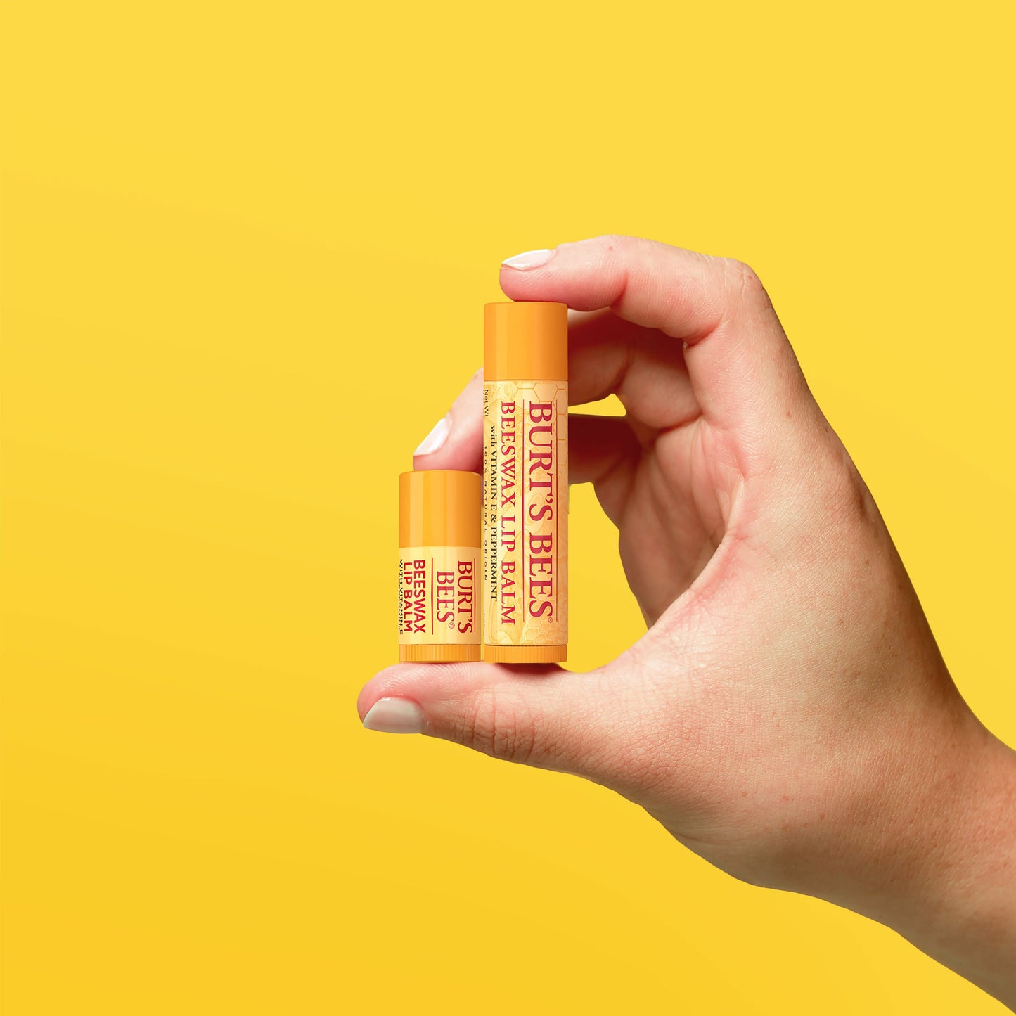 Burt's Bees Moisturizing Lip Balm Pack - Beeswax