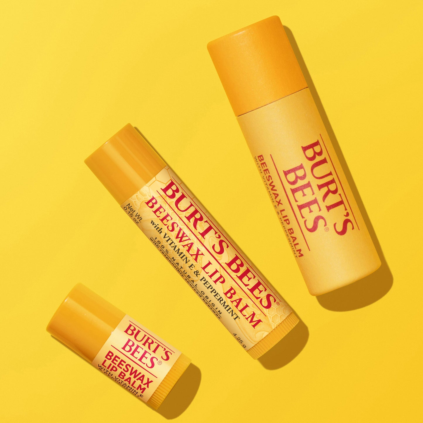 Burt's Bees Moisturizing Lip Balm Pack - Beeswax