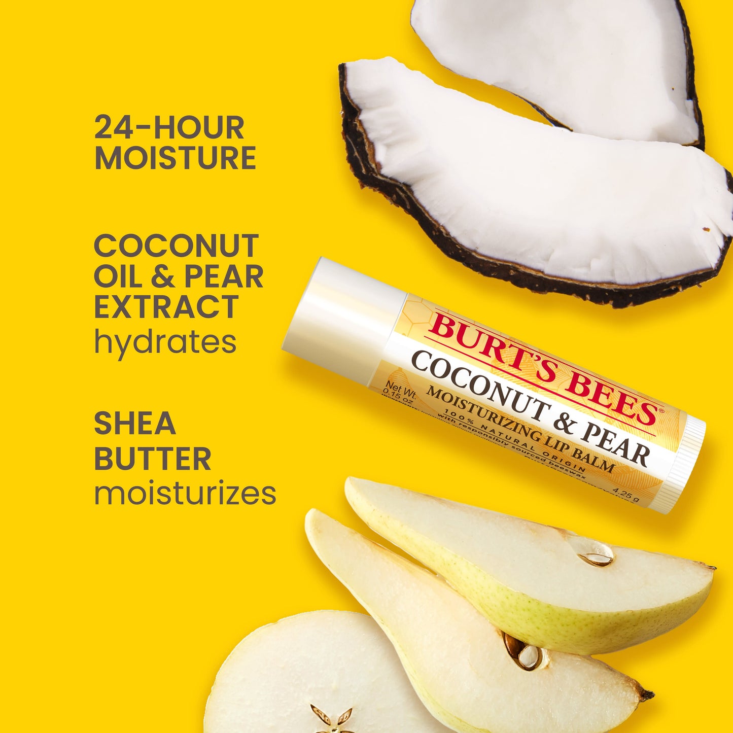 Burt's Bees Moisturizing Lip Balm Pack - Assorted