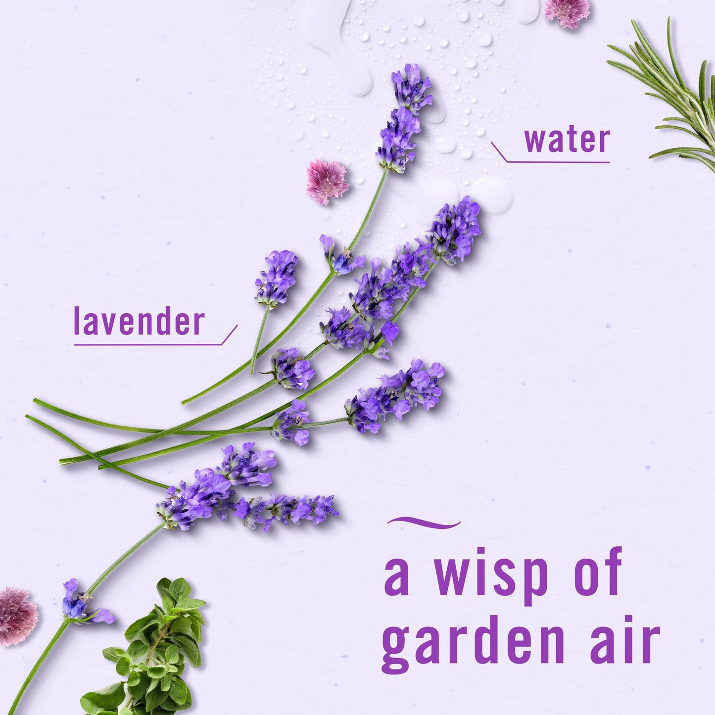 FEBREZE Febreze Light Air Lavender