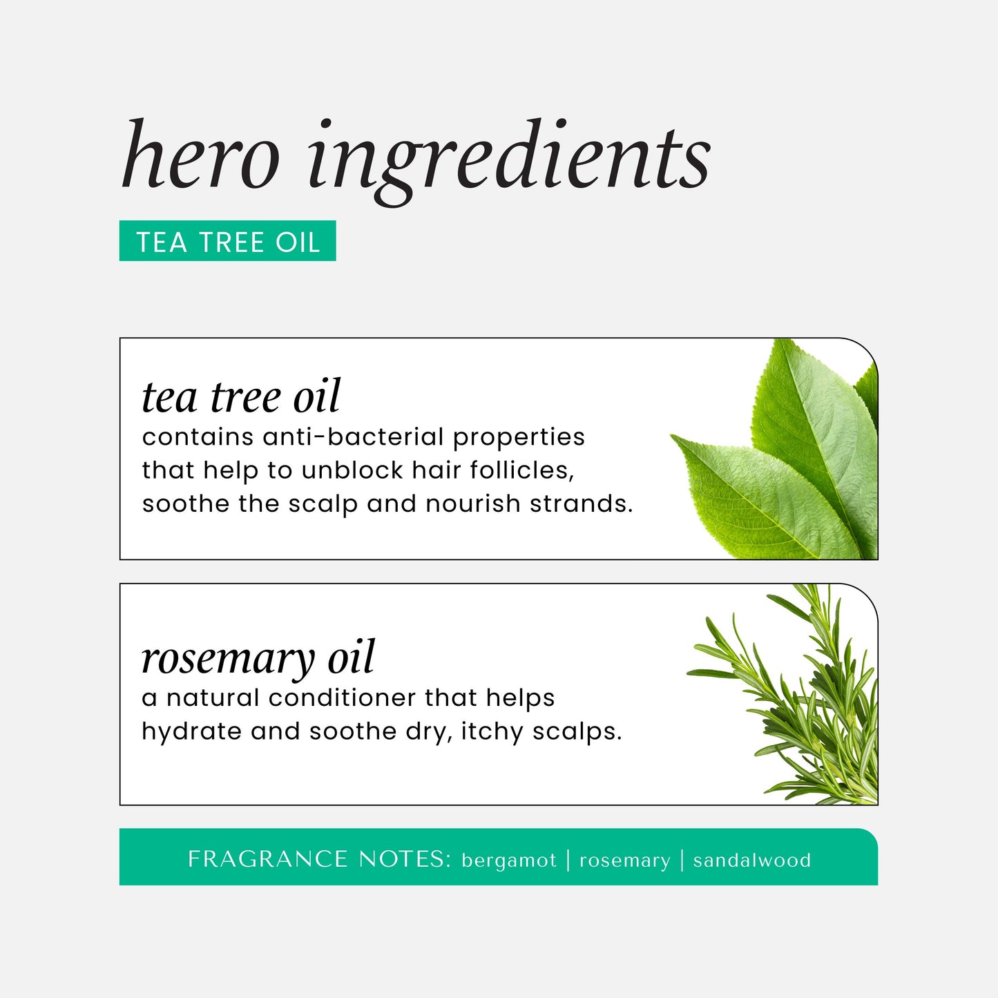 HASK Tea Tree Oil & Rosemary Hair & Scalp Treatment Mask
