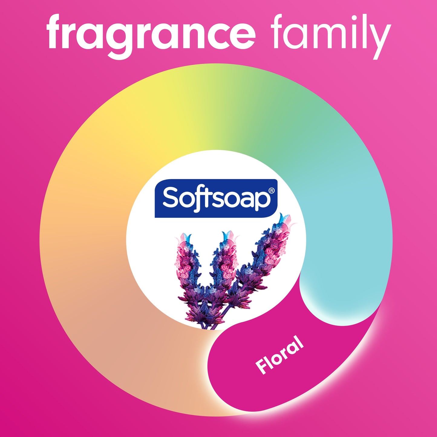 Softsoap Moisturizing Hand Soap - Lavender & Shea