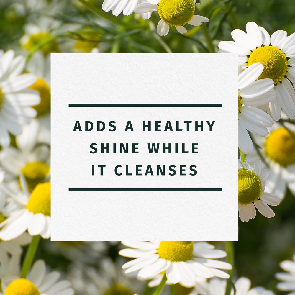 Herbal Essences Chamomile Shine Shampoo